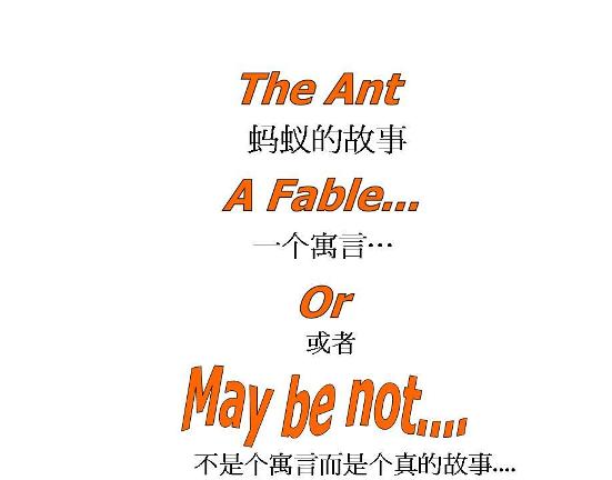 蚂蚁的故事The Ant